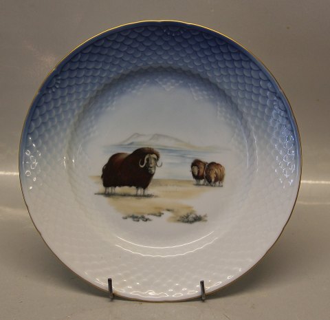 025-325 Middagstallerkener   24.5 cm  B&G Grønlandske motiver Kalaallit Nunaanni 
pingortitaq med guldkant