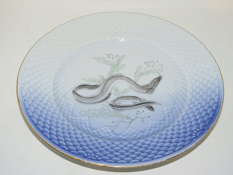 Måge med guldkantFisketallerken Nr. 8 Ål