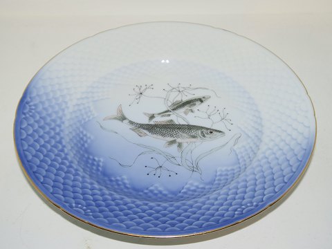 Måge med guldkantFisketallerken Nr. 1Sild