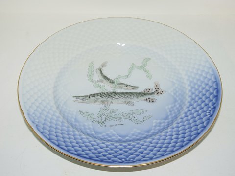 Måge med guldkantFisketallerken Nr. 4 Gedde