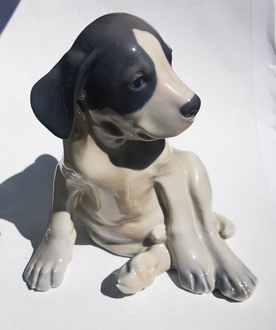 Figur af hund pointer hvalp fra Royal Copenhagen