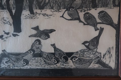 Fuglebillede (birds)Livlige fugke, synger og finder frø, - lige til at blive glad af49cm x 44cmWith the frameIn a good condition
