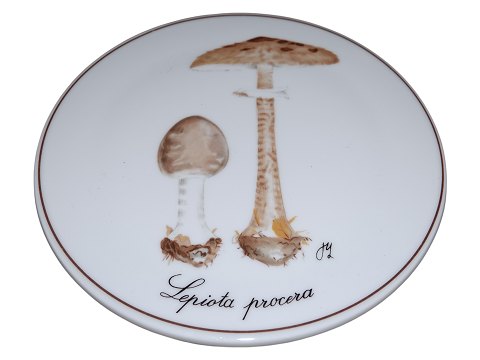 Svampeplatter<br>Bing & ...