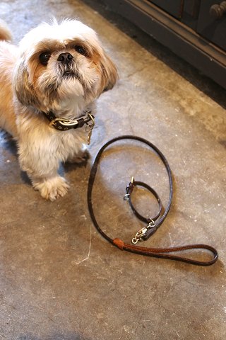 Vintage Louis Vuitton hundehalsbånd & snor i LV monogram...
