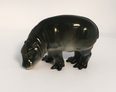 Lyngby porcelain. Young hippos. Model 84. Length 11 cm. (1 quality)