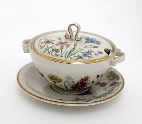 Boullionkop med låg, Danmarks Flora, Krautheim