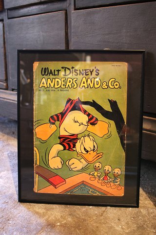 Dekorative , gamle Walt Disney Anders And blade fra årgang 1954 , er indrammet i sort ramme. 30x24cm...