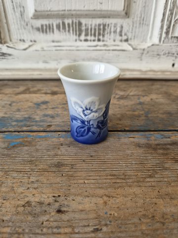 Porcelain and faience