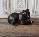 item no:
370869 item no:
370869