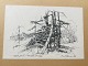 emne nr:
465286