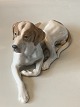 Royal Copenhagen, Liggende #Pointer Dek nr #1635,Længde 24cmSOLGT