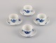 item no:
533980 item no:
533980