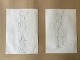 emne nr:
596625