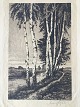 emne nr:
599639