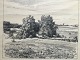 emne nr:
605778