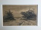 emne nr:
605974