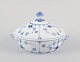 item no:
613535 item no:
613535