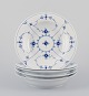 item no:
613538 item no:
613538