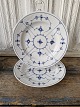 Royal 
Copenhagen 
Musselmalet 
riflet 
middagstallerken 
...
