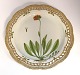 Royal Copenhagen. Flora Danica. Rundt serveringsfad
med gennembrudt kant. Model # 3528. Diameter 33 cm. (1 sortering). Hieracium 
aurantiacum L