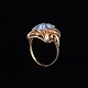 latest
new item latest
new item
