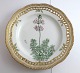 Royal Copenhagen. Flora Danica plate w. open-work border. Diameter 25 cm. Model 3553. (1 quality). Hottonia palustris L