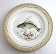 Royal Copenhagen. Fauna Danica. Fish Plate. Dinner plate. Model # 19 - 3549. Diameter 25 cm. (1 quality). Gadus merlangus