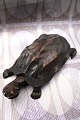 Old turtle carved in solid dark wood with a really nice patina. L: 30cm.