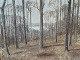 Jørn GlobTrees by the lakeDKK 1400