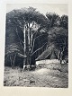 emne nr:
639192