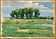 Svendsen, Albert (1889 - 1959) Danmark: Heste på en ...